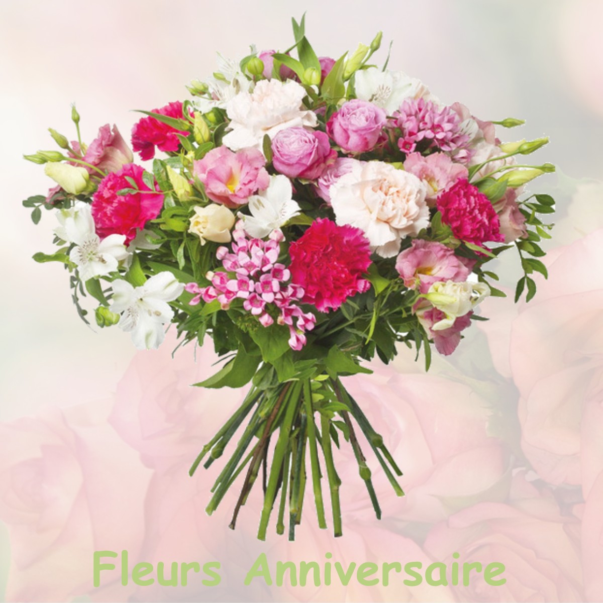 fleurs anniversaire MEZIERES-EN-BRENNE